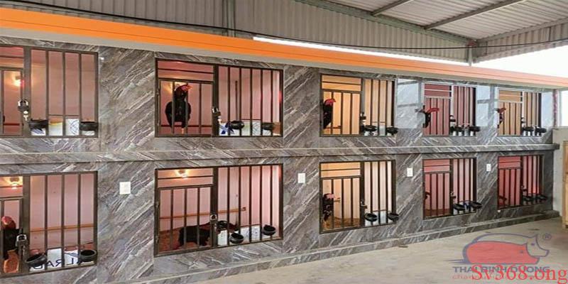 Hướng Dẫn Cách Làm Chuồng Bay Cho Gà Đá Đơn Giản Tại Sv368 1 cách làm chuồng gà bay cho gà đá