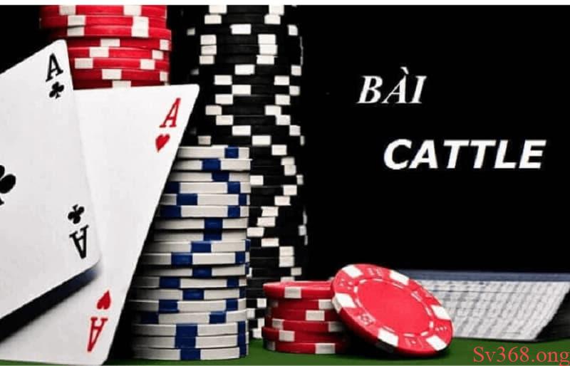 cách chơi game bài Catte cách chơi game bài Catte