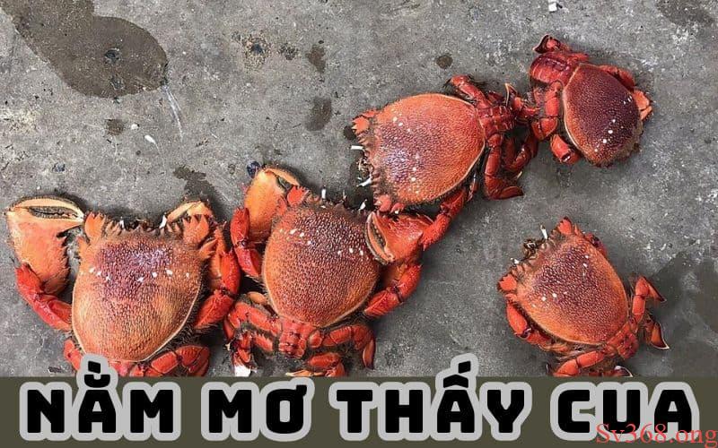 Mơ thấy cua Mơ thấy cua